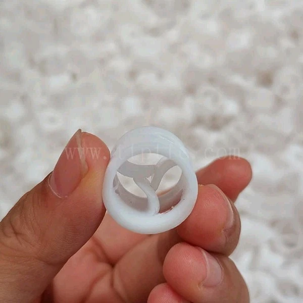 PTFE Plastic Pall Ring factory